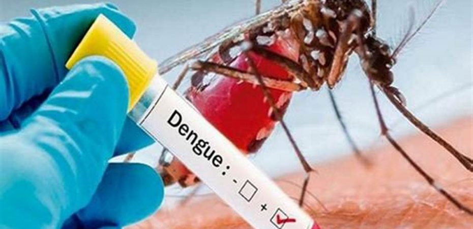 बागलुङमा बढ्दो डेंगु संक्रमणस् परीक्षणका लागि किट अभाव